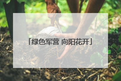绿色军营 向阳花开
