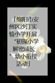 绵阳市安州区沙汀实验小学开展“初探小学 解密成长”幼小衔接活动