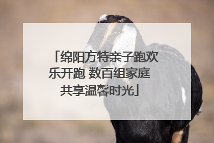 绵阳方特亲子跑欢乐开跑 数百组家庭共享温馨时光