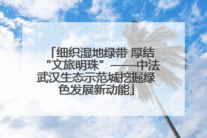 细织湿地绿带 厚结“文旅明珠”——中法武汉生态示范城挖掘绿色发展新动能