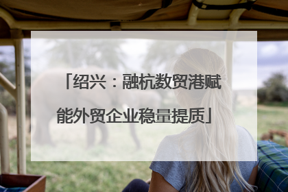 绍兴：融杭数贸港赋能外贸企业稳量提质