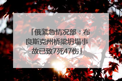 俄紧急情况部：布良斯克州桥梁坍塌事故已致7死47伤