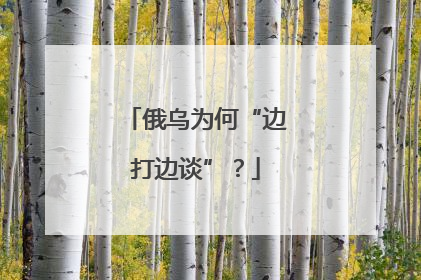 俄乌为何“边打边谈”？