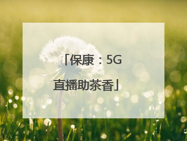 保康：5G直播助茶香