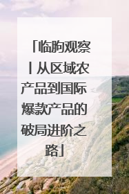 临朐观察丨从区域农产品到国际爆款产品的破局进阶之路