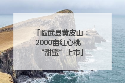 临武县黄皮山：2000亩红心桃“甜蜜”上市