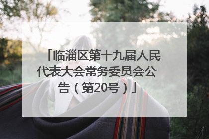 临淄区第十九届人民代表大会常务委员会公告（第20号）