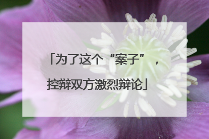 为了这个“案子”，控辩双方激烈辩论