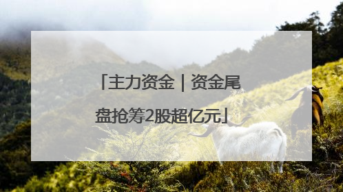 主力资金｜资金尾盘抢筹2股超亿元