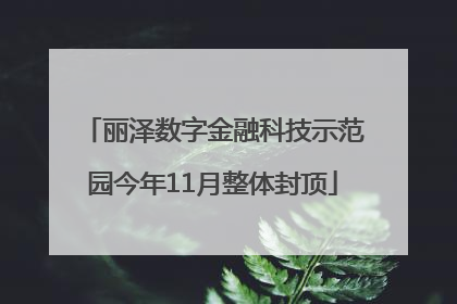 丽泽数字金融科技示范园今年11月整体封顶
