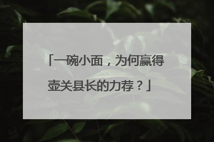 一碗小面，为何赢得壶关县长的力荐？