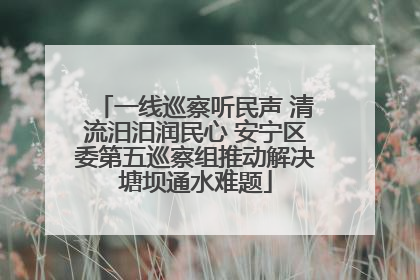 一线巡察听民声 清流汨汨润民心 安宁区委第五巡察组推动解决塘坝通水难题