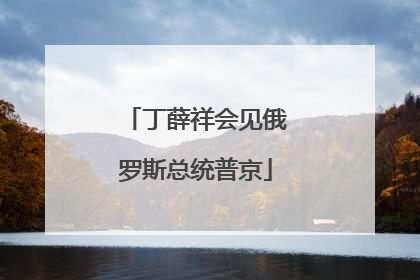 丁薛祥会见俄罗斯总统普京