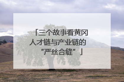 三个故事看黄冈人才链与产业链的“严丝合缝”