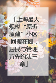 上海最大规模“原拆原建”小区回搬在即，居民与管理方先约法三章