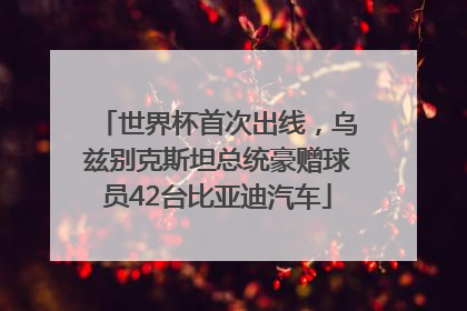 世界杯首次出线，乌兹别克斯坦总统豪赠球员42台比亚迪汽车
