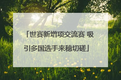 世赛新增项交流赛 吸引多国选手来穗切磋