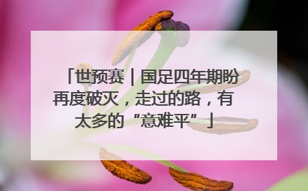 世预赛｜国足四年期盼再度破灭，走过的路，有太多的“意难平”