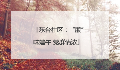 东台社区：“廉”味端午 党群情浓