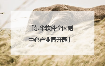 东华软件全国副中心产业园开园