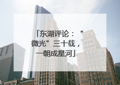 东湖评论：“微光”三十载，一朝成星河
