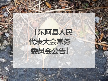 东阿县人民代表大会常务委员会公告