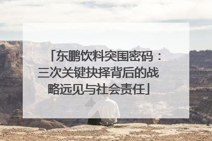 东鹏饮料突围密码：三次关键抉择背后的战略远见与社会责任