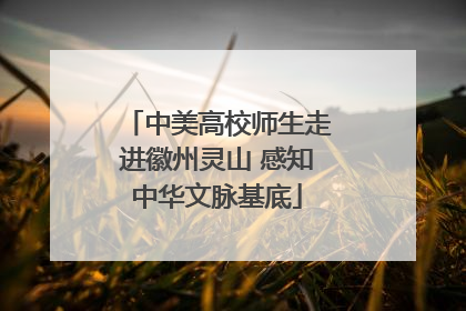 中美高校师生走进徽州灵山 感知中华文脉基底