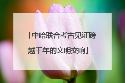 中哈联合考古见证跨越千年的文明交响