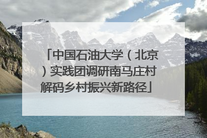 中国石油大学（北京）实践团调研南马庄村解码乡村振兴新路径