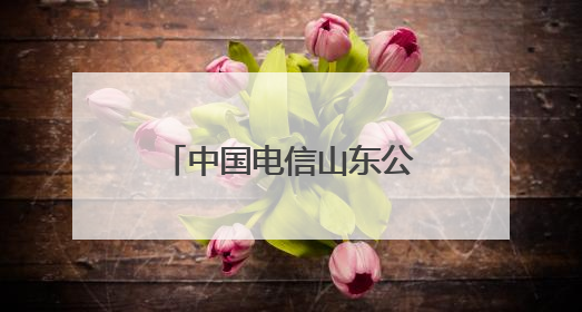 中国电信山东公司：筑牢数字新基建基座 引领万兆光网新时代