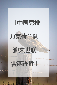 中国男排力克荷兰队 迎来世联赛两连胜