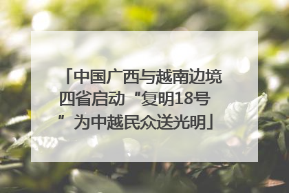 中国广西与越南边境四省启动“复明18号”为中越民众送光明
