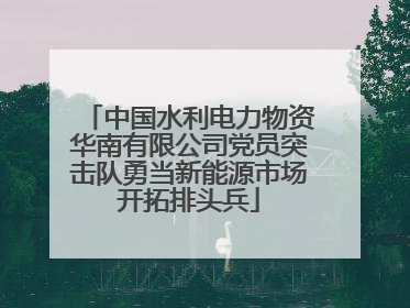 中国水利电力物资华南有限公司党员突击队勇当新能源市场开拓排头兵