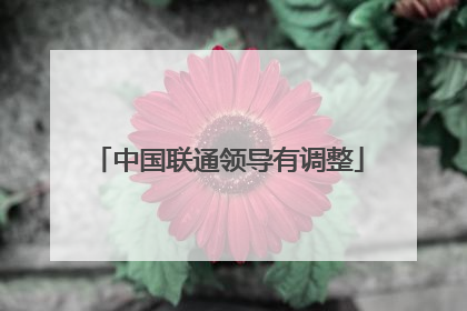 中国联通领导有调整
