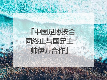 中国足协按合同终止与国足主帅伊万合作