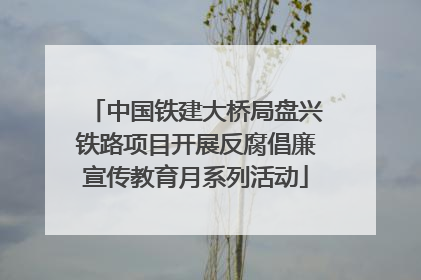中国铁建大桥局盘兴铁路项目开展反腐倡廉宣传教育月系列活动