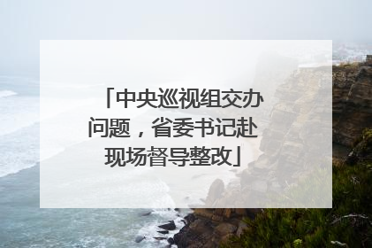 中央巡视组交办问题，省委书记赴现场督导整改
