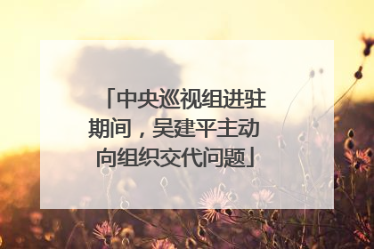 中央巡视组进驻期间，吴建平主动向组织交代问题