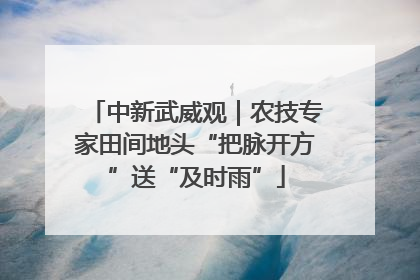 中新武威观｜农技专家田间地头“把脉开方”送“及时雨”