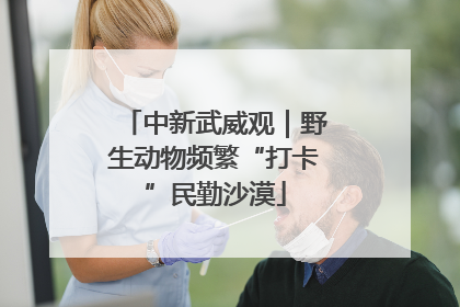 中新武威观｜野生动物频繁“打卡”民勤沙漠
