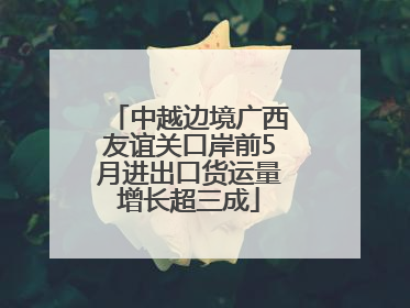 中越边境广西友谊关口岸前5月进出口货运量增长超三成