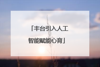 丰台引入人工智能赋能心育