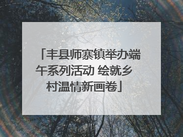 丰县师寨镇举办端午系列活动 绘就乡村温情新画卷