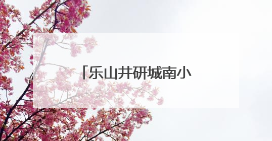 乐山井研城南小学：展现青春担当，共议身边要事
