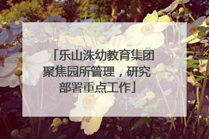 乐山洙幼教育集团聚焦园所管理，研究部署重点工作