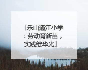 乐山通江小学：劳动育新苗，实践绽华光