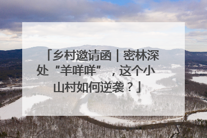 乡村邀请函｜密林深处“羊咩咩”，这个小山村如何逆袭？