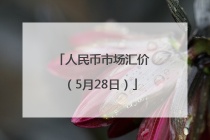 人民币市场汇价（5月28日）