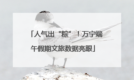 人气出“粽”！万宁端午假期文旅数据亮眼